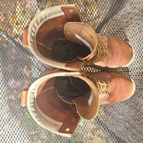 Thorogood 8" Plain Toe in Tobacco Gladiator Oil-Tanned