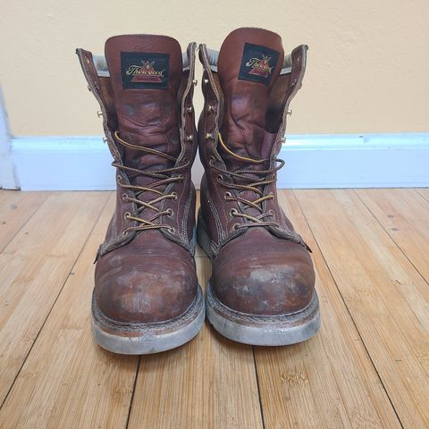 Thorogood 8" Plain Toe in Tobacco Gladiator Oil-Tanned