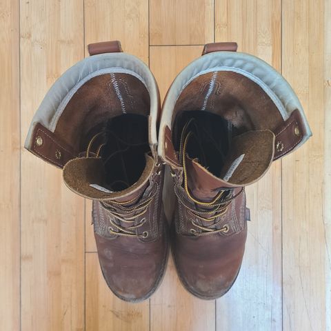 Thorogood 8" Plain Toe in Tobacco Gladiator Oil-Tanned