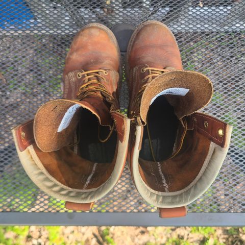 Thorogood 8" Plain Toe in Tobacco Gladiator Oil-Tanned