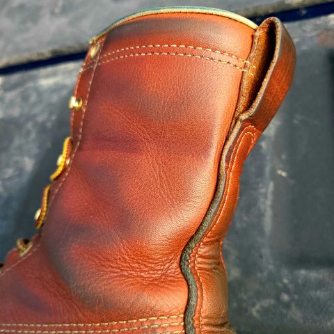 Thorogood 8" Plain Toe in Tobacco Gladiator Oil-Tanned