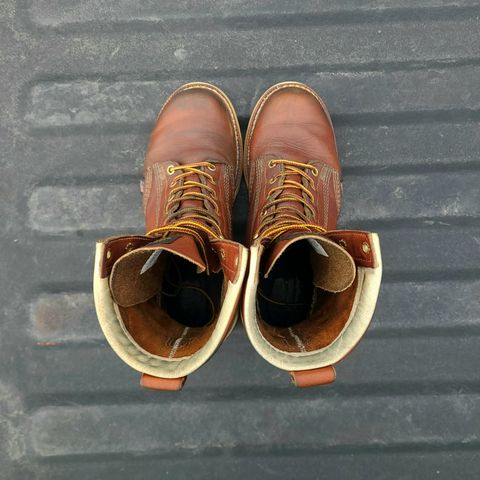 Thorogood 8" Plain Toe in Tobacco Gladiator Oil-Tanned