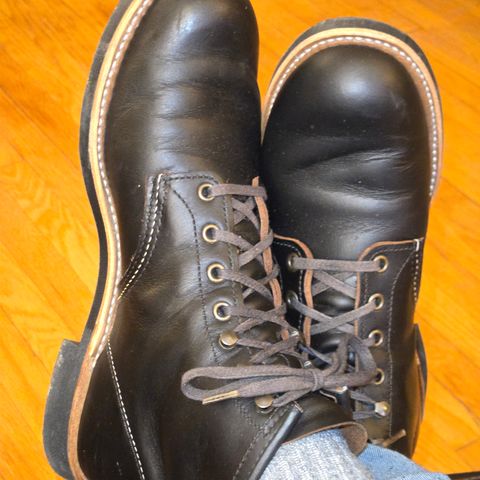 Red Wing Blacksmith in S.B. Foot Black Prairie