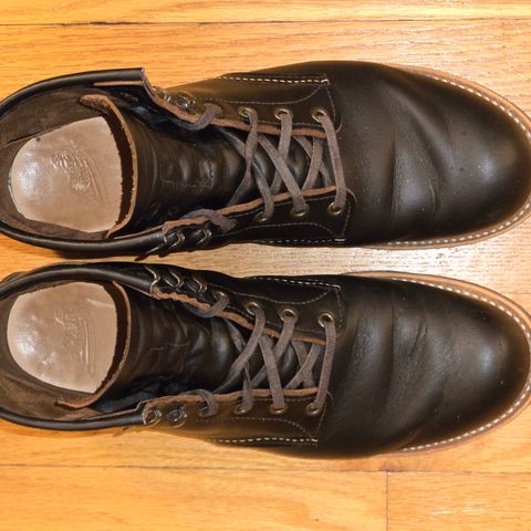 Red Wing Blacksmith in S.B. Foot Black Prairie