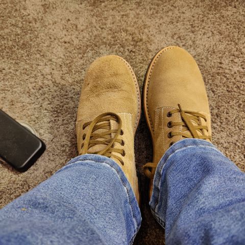 View photo of Oak Street Bootmakers Field Boot in Horween Marine Field Roughout