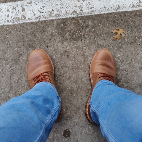 Search result thumbnail of Oak Street Bootmakers Trench Boot in Horween Natural Chromexcel