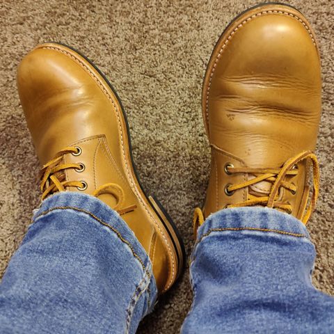 View photo of Oak Street Bootmakers Trench Boot in Horween Natural Chromexcel