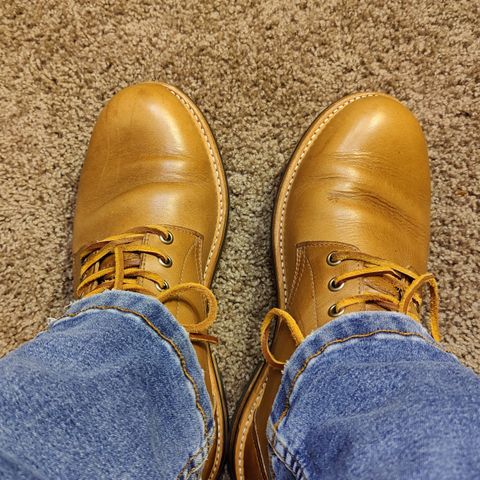 View photo of Oak Street Bootmakers Trench Boot in Horween Natural Chromexcel