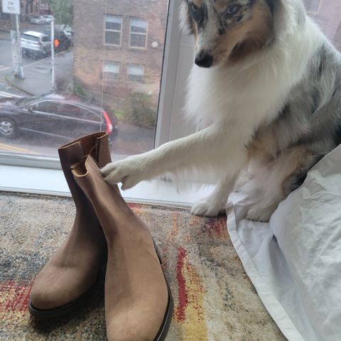 Viberg Herald in Eco Veg Fallow Suede Roughout