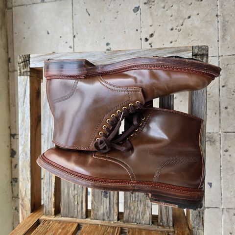 Alden Plain Toe Boot in Horween Ravello Shell Cordovan