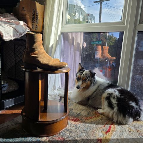 Viberg Herald in Eco Veg Fallow Suede Roughout