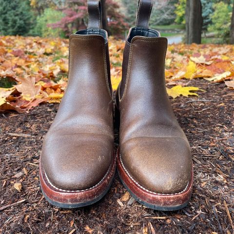 Benzein The Seventh Chelsea Boot in Horween Olive Waxed Flesh