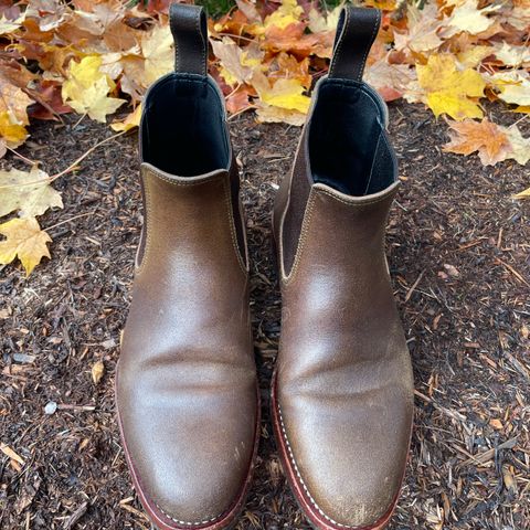 Benzein The Seventh Chelsea Boot in Horween Olive Waxed Flesh