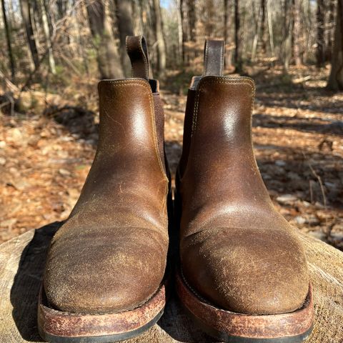 Benzein The Seventh Chelsea Boot in Horween Olive Waxed Flesh