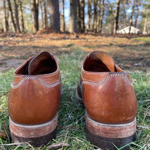 Onderhoud LVL01 Derby Boot in Badalassi Carlo Cognac Minerva