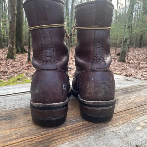 Wesco Packer in Seidel Brown Oil Tan