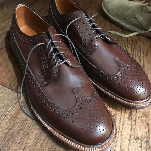 View photo of Alden Long Wing Blucher in Walnut Brown Calfskin