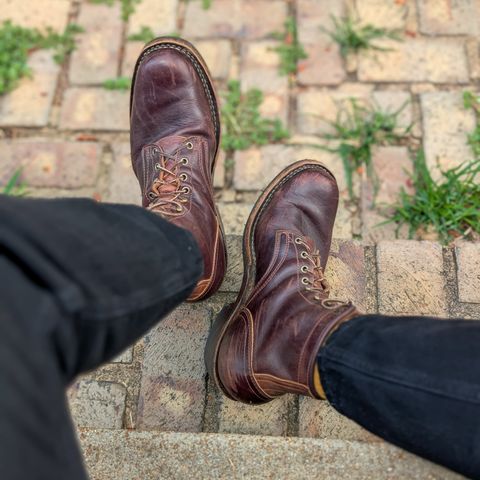 Frank's Wilshire in Seidel Brown Domain