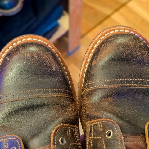 Truman Service Boot in Horween Java Waxed Flesh