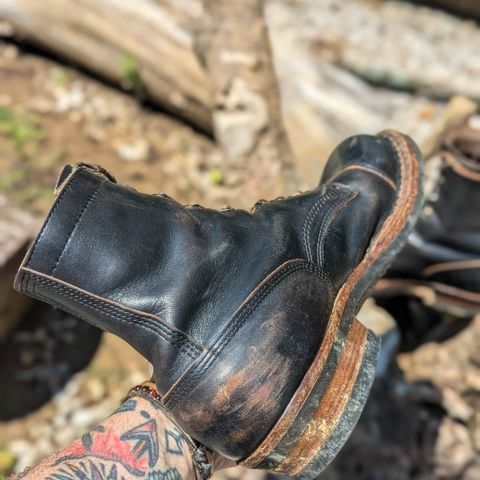 Search result thumbnail of White's Bounty Hunter in Horween Black Chromexcel