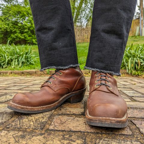 Nicks Robert in Seidel 1964 Brown