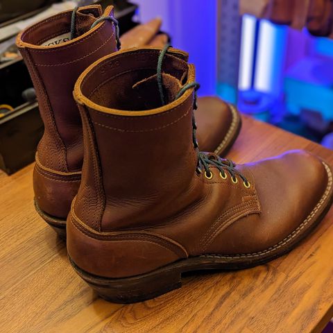 Nicks Robert in Seidel 1964 Brown