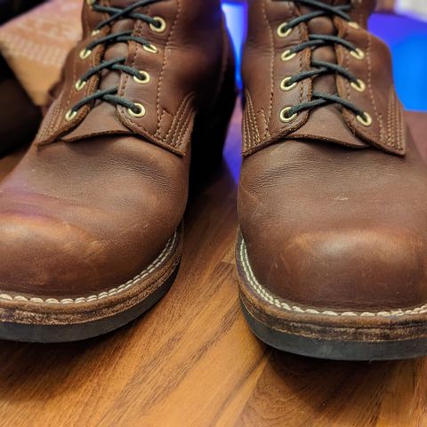 Nicks Robert in Seidel 1964 Brown