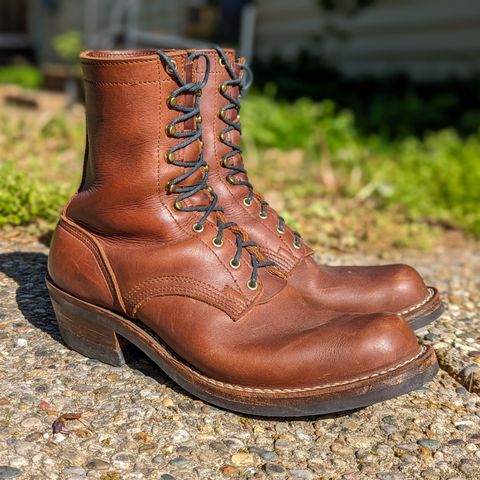 Nicks Robert in Seidel 1964 Brown
