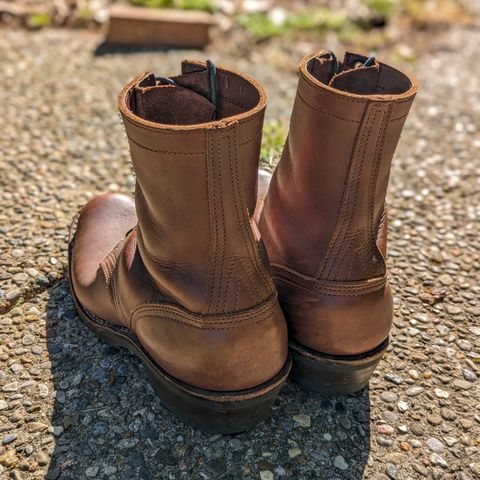 Nicks Robert in Seidel 1964 Brown
