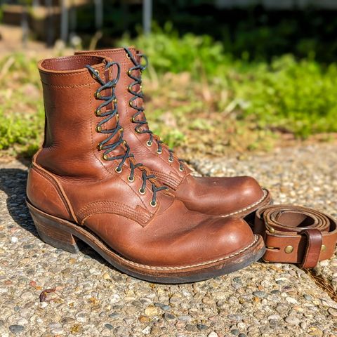 Nicks Robert in Seidel 1964 Brown