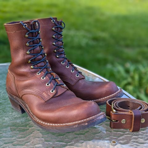 Nicks Robert in Seidel 1964 Brown