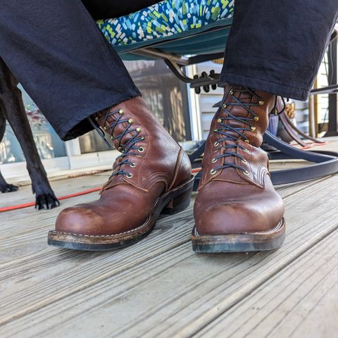 Nicks Robert in Seidel 1964 Brown