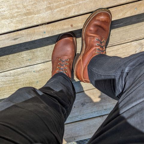 Nicks Robert in Seidel 1964 Brown