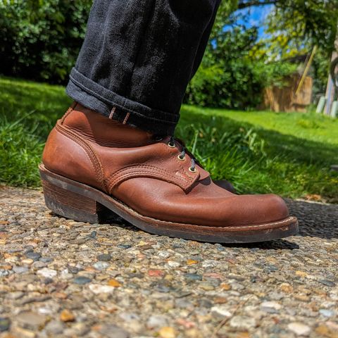 Nicks Robert in Seidel 1964 Brown