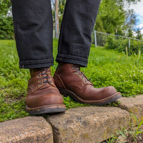 Nicks Robert in Seidel 1964 Brown