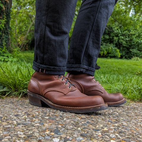 Nicks Robert in Seidel 1964 Brown