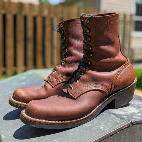 Nicks Robert in Seidel 1964 Brown