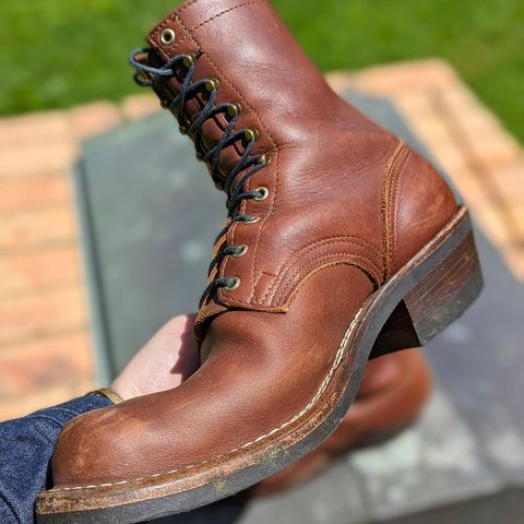 Nicks Robert in Seidel 1964 Brown