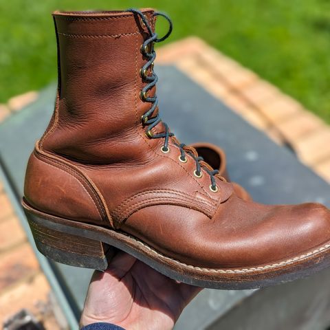Nicks Robert in Seidel 1964 Brown