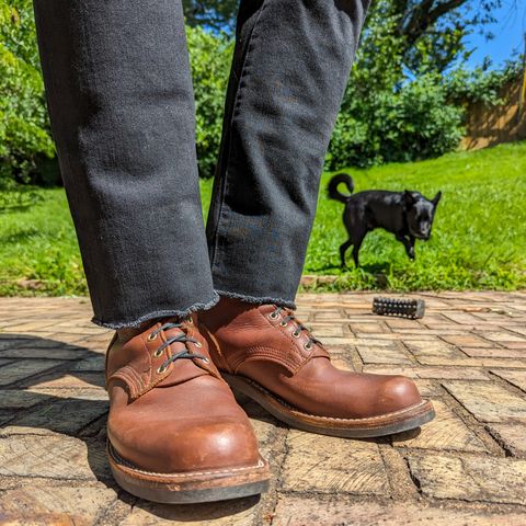 Nicks Robert in Seidel 1964 Brown