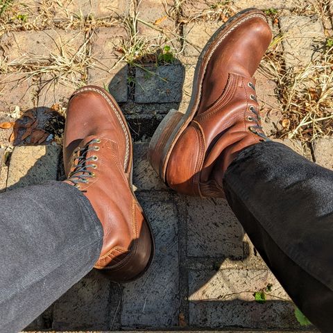 Nicks Robert in Seidel 1964 Brown