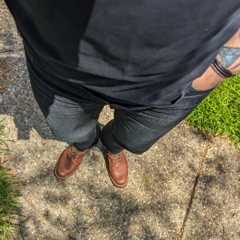 Nicks Robert in Seidel 1964 Brown