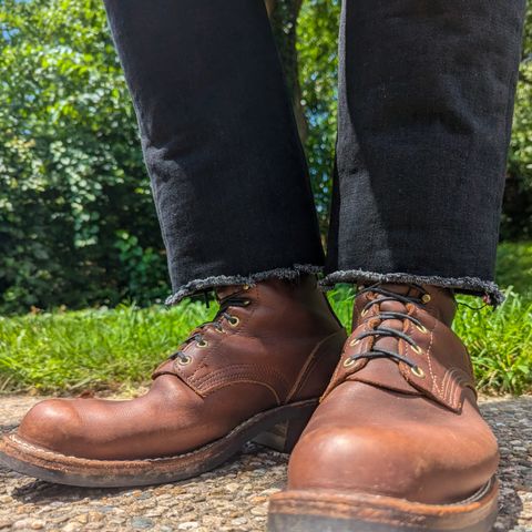 Nicks Robert in Seidel 1964 Brown