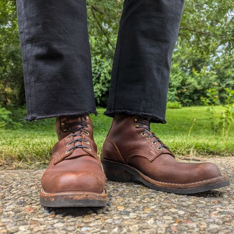 Nicks Robert in Seidel 1964 Brown