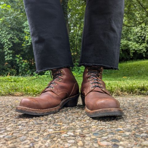 Nicks Robert in Seidel 1964 Brown