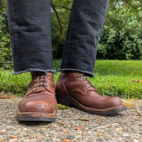 Nicks Robert in Seidel 1964 Brown