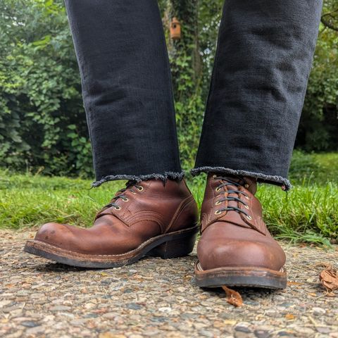 Nicks Robert in Seidel 1964 Brown