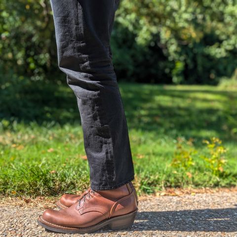 Nicks Robert in Seidel 1964 Brown