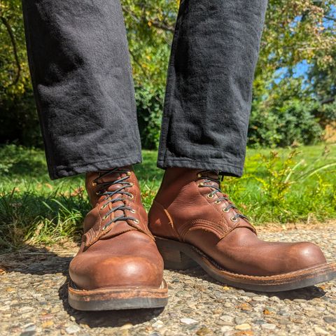 Nicks Robert in Seidel 1964 Brown