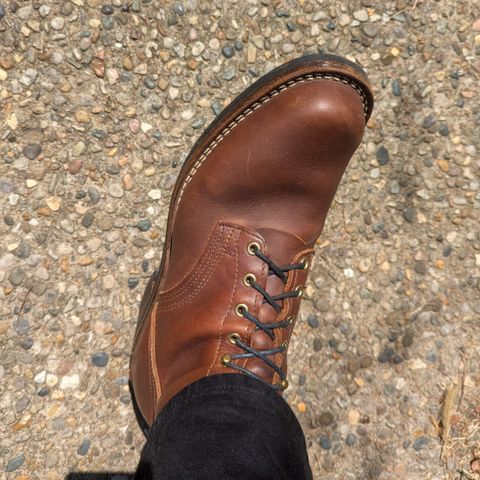 Nicks Robert in Seidel 1964 Brown